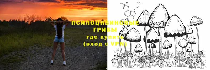 мориарти формула  MEGA маркетплейс  Галлюциногенные грибы Psilocybine cubensis  Луза  где продают  